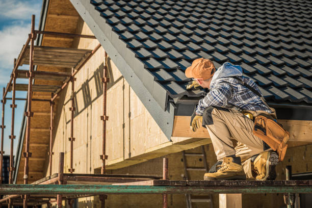 Best Roof Gutter Cleaning  in , TN